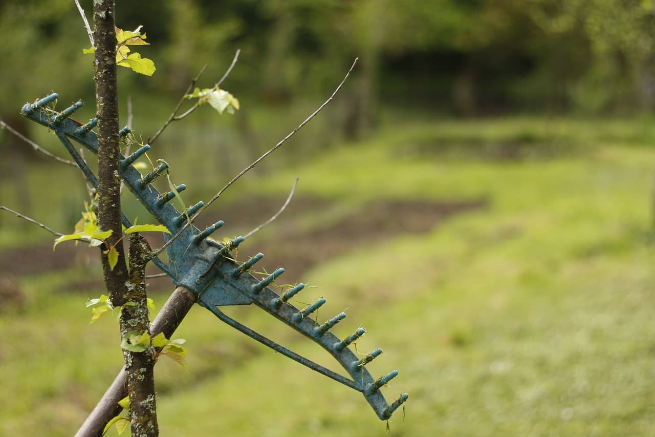 Verticuteerharken en Beluchters: Uitleg van Verschillende Tools voor Bodemonderhoud