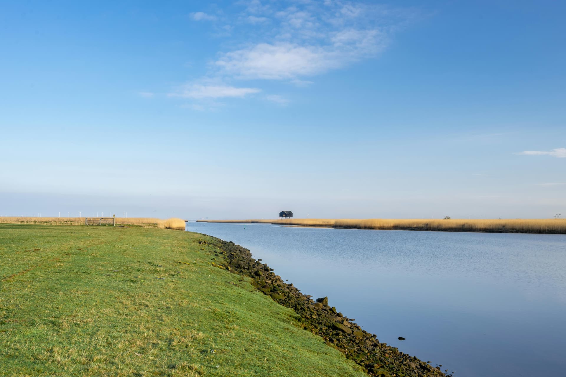 Wanneer Gebruik je Kalk in je Gras?