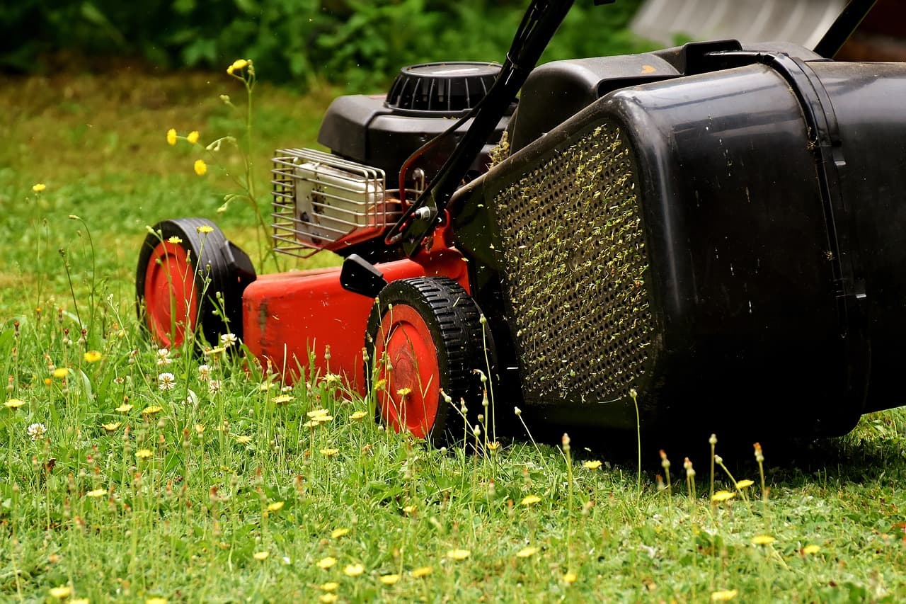 Gazonmaaiers: Verschillende Soorten en Welke het Beste bij je Tuin Past